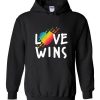 Love always wins Hoodie DN