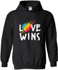 Love always wins Hoodie DN