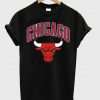 Chicago Bulls T-Shirt