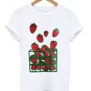 strawberry box t shirt ZX03