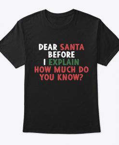 Dear Santa Before I Explain Funny T-Shirt IGS