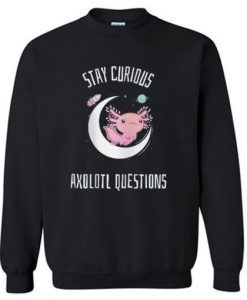 STAY CURRIOUS SWEATSHIRT RE23