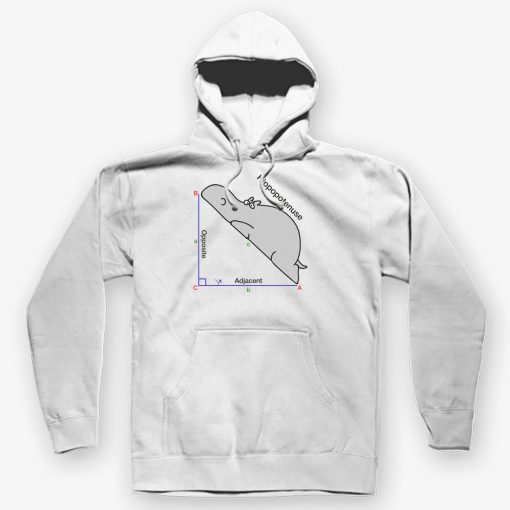 MATH HUMOR HOODIE DNXRE