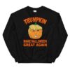 Trumpkin sweatshirt drd