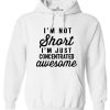 I'm Not Short I'm Just Awesome Hoodie DN