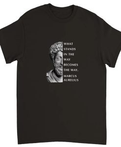 Marcus Aurelius Stoicism t-shirt