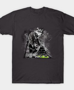 Splinter with this Teenage Mutant Ninja Turtles t-shirt